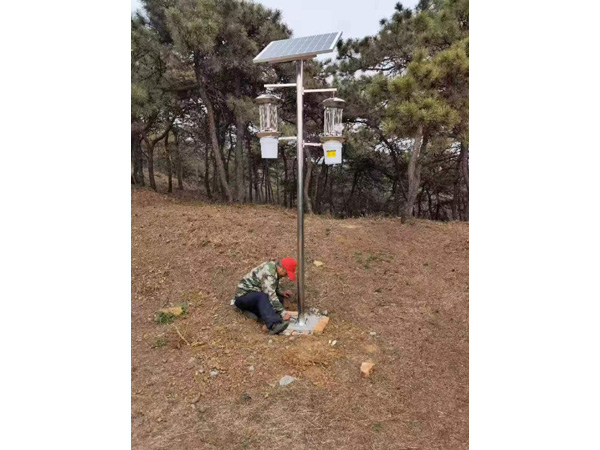 双灯头全不锈钢频振式杀虫灯