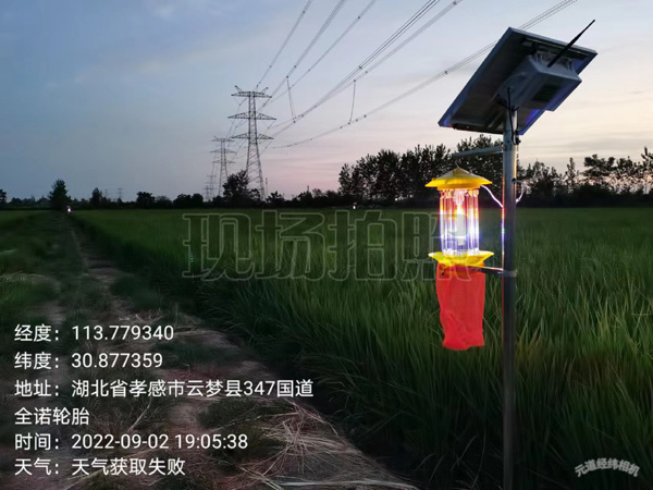太阳能杀虫灯