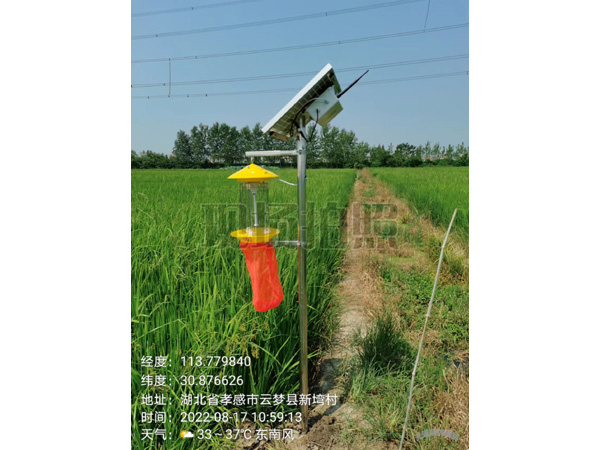 太阳能杀虫灯